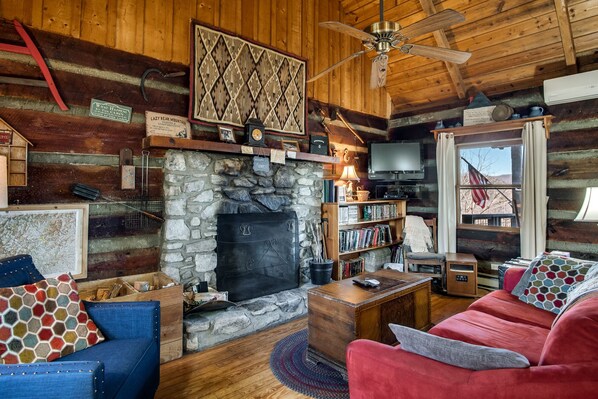 Televisión, chimenea y reproductor de DVD 