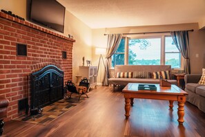 Smart TV, fireplace, DVD player, books