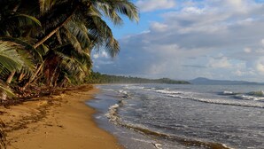 A beach with palm trees and waves.