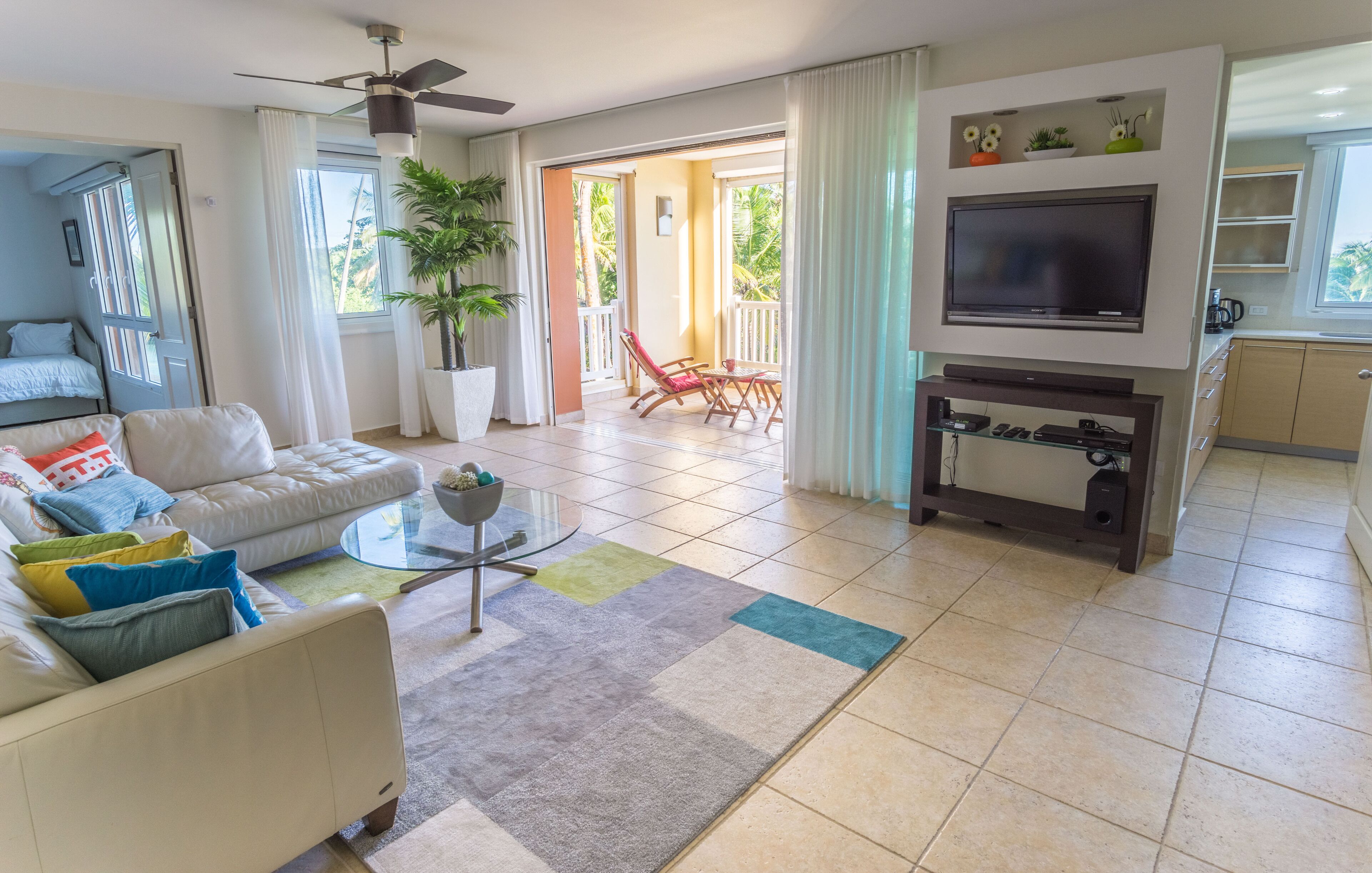 电视、DVD 播放器、书、影片库