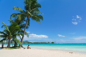 A beach with palm trees, clear turquoise water, and a person sitting on the sand. - Luxury 1BD in ONE ALA MOANA with Beautiful View and Room with Free Parking!! (Honolulu)