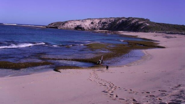 Une plage avec une eau d’un bleu limpide, un rivage sablonneux et des falaises rocheuses en arrière-plan.