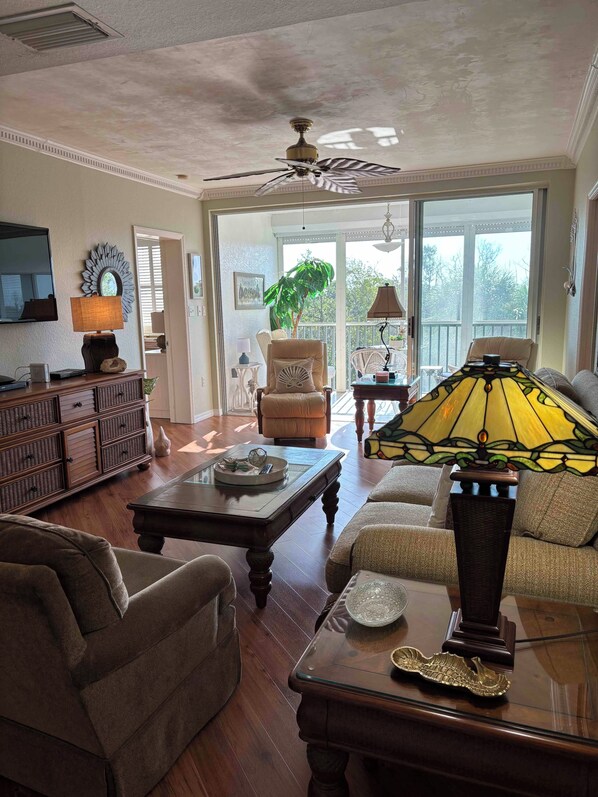 Flat-screen TV, DVD player, toys, books