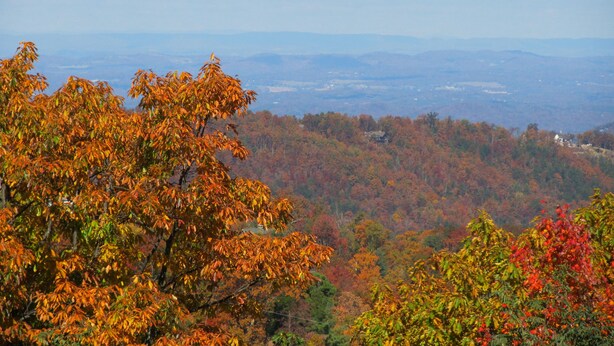 Eine Berglandschaft mit Herbstlaub.