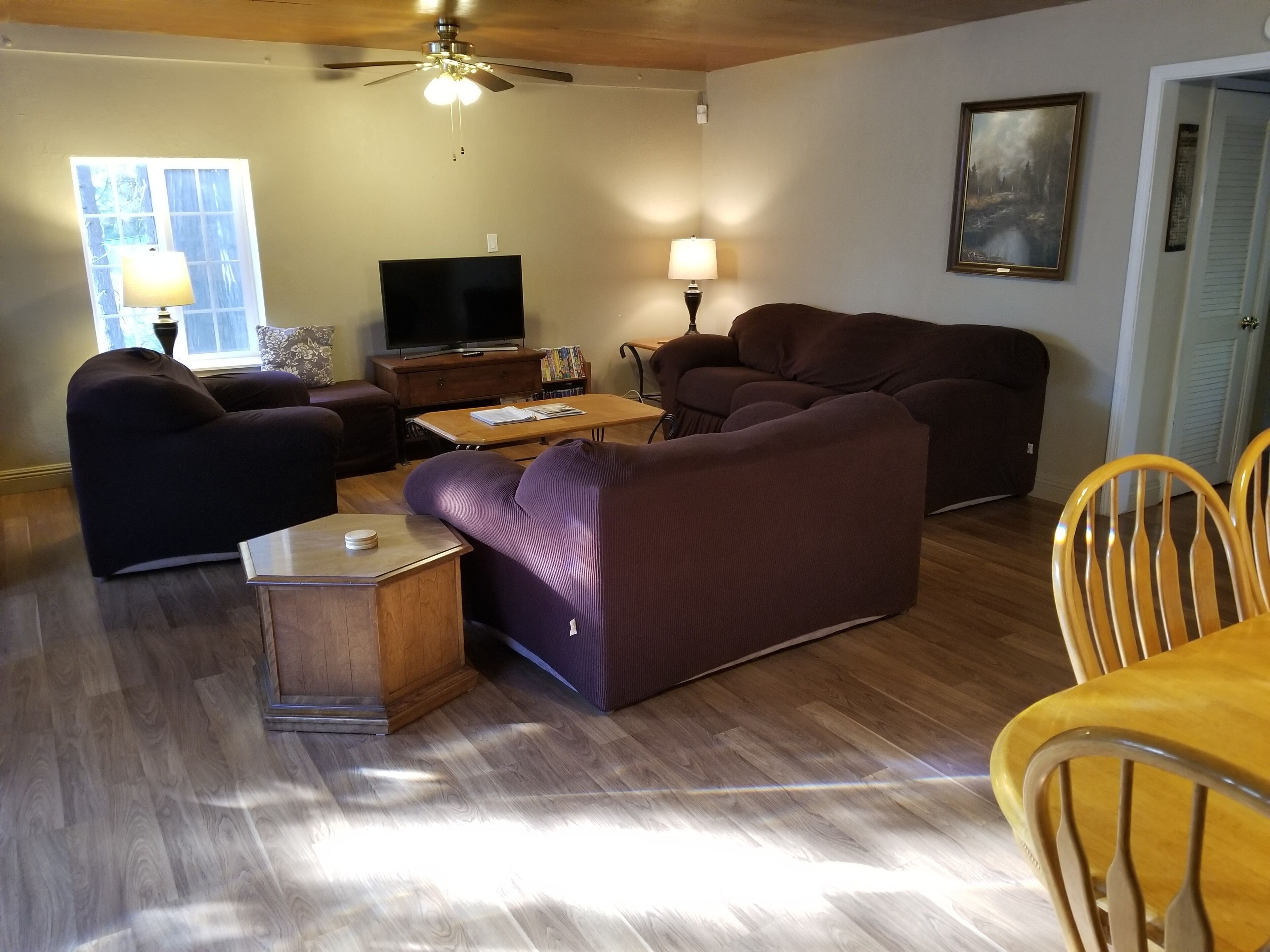 TV, fireplace, DVD player, video library