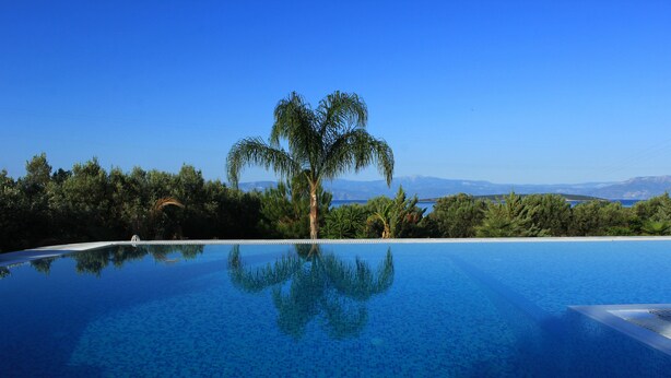 Una piscina infinita de color azul intenso con una palmera en el centro, rodeada de exuberante vegetación y un cielo despejado.