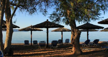 Luxuriöse mediterrane Villa mit Infinity-Pool und maximaler Privatsphäre