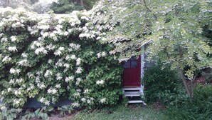 A house partially covered by a flowering vine. - Cayuga Lake Cottage near Ithaca, Taughannock Falls State Park and Trumansburg, N (Trumansburg)