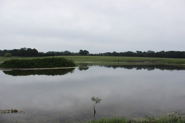 A calm lake with a small island and dense trees in the background.