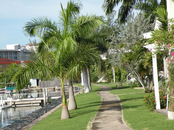 A pathway lined with palm trees, a water feature, and a concrete walkway. - 24 gated security studio apartment, Seawind on the bay Freeport Mobay (Montego Bay)