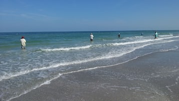 Camastros y toallas de playa