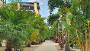 A pathway flanked by lush tropical plants leading to a building with a sloped roof.