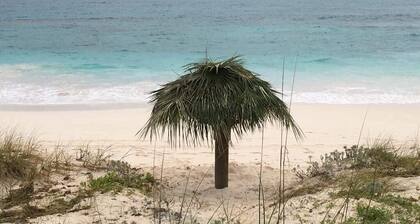 Secluded Beachfront Estate on 9 Private Acres