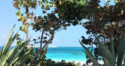 Neues abgelegenes Anwesen am Strand, 9 Acres & 725 'Private Frontage NEUER POOL!