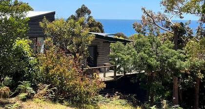 HIDDEN HAVEN - Secluded waterfront property at Binalong Bay on the Bay of Fires