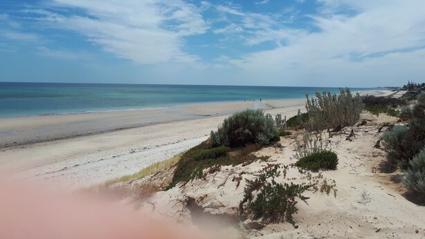 Una spiaggia con cielo sereno, sabbia dorata e vegetazione rada.