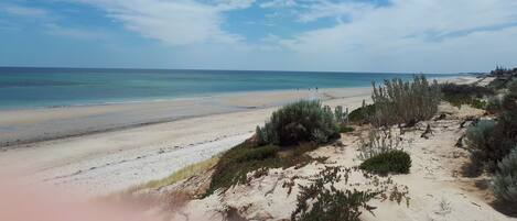 Playa en los alrededores y camastros