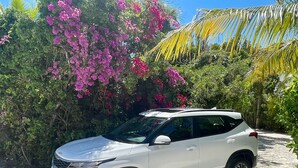A white SUV parked on a gravel path with pink flowers and green foliage in the background.