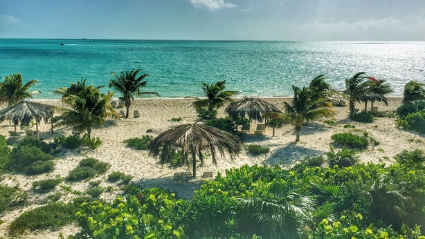 A beach with palm trees, a thatched-roof hut, and a clear view of the ocean.
