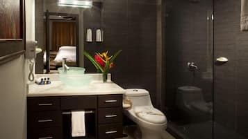 Regadera, toallas, jabón, papel de baño