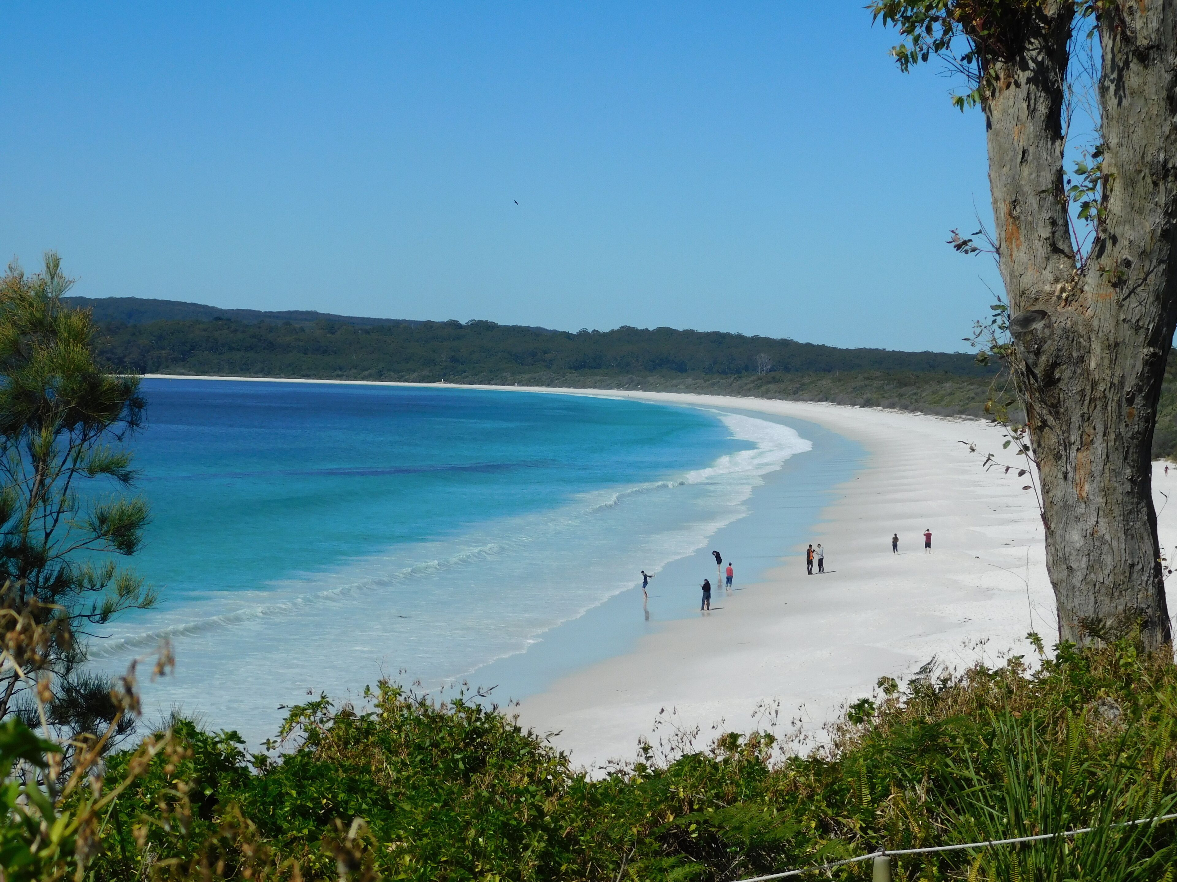 Walters Holiday Flats @ Hyams Beach (Flat 3) - Book 7 nights pay for only 6* — image 14