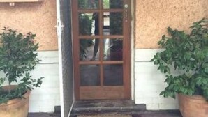 Una porta de fusta amb panells de vidre, emmarcada per plantes en testos, que dona pas a un edifici amb façana escultural.
