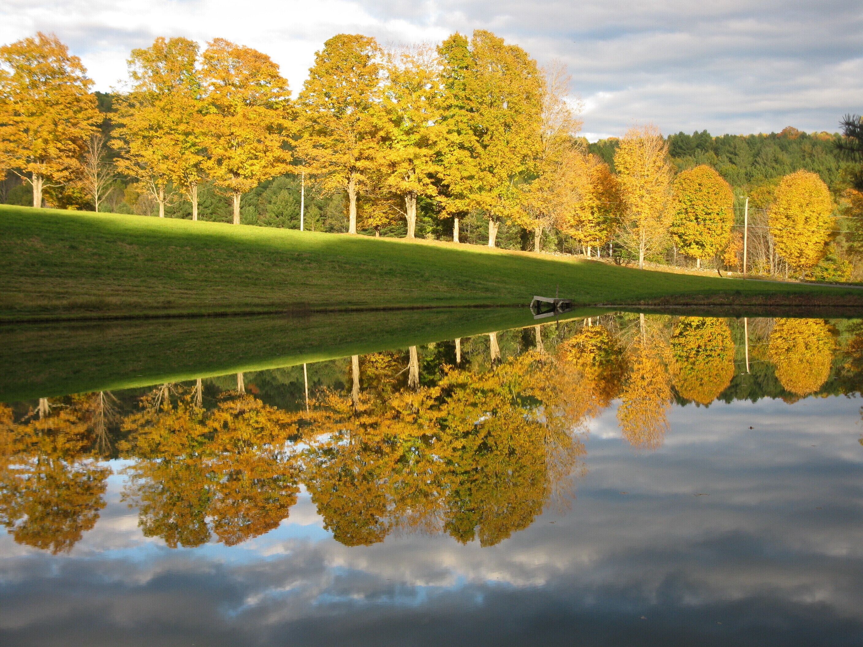 A calm lake reflecting trees with autumn foliage, a grassy area, and a small boat.