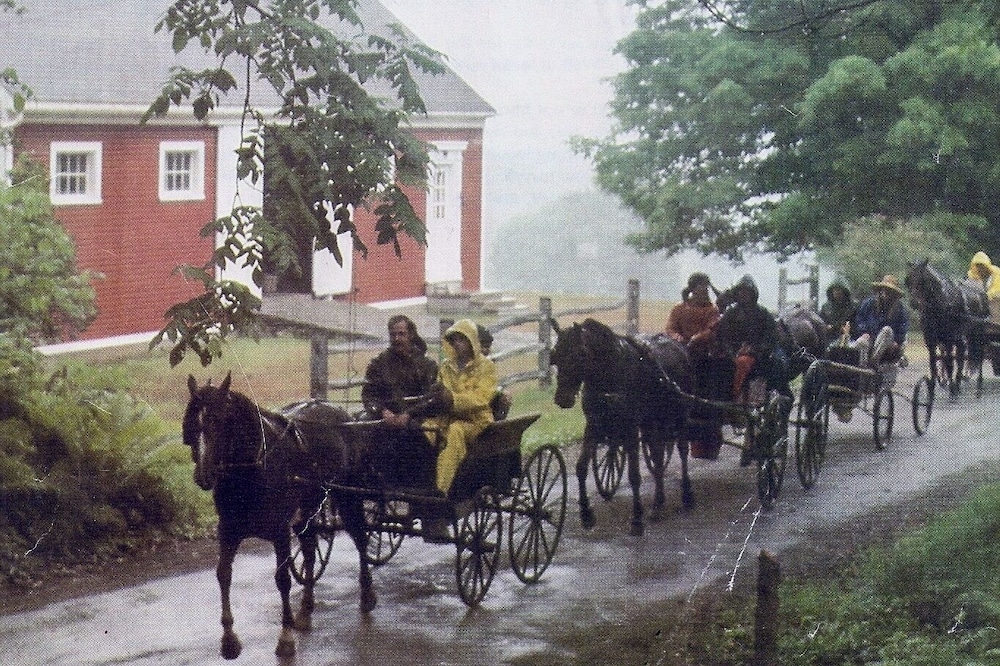 Carriage House - 250 Private Acres; Views, Gardens, Skiing, Farm, Serenity
