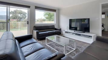 Smart TV, video games, DVD player, video library