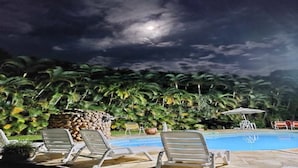 A pool area with lounge chairs, a stone wall, and a backdrop of palm trees.
