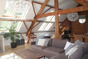 Televisio, takka, DVD-soitin, kirjoja