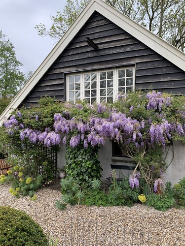 Charming unique private house overlooking pastures near Amsterdam