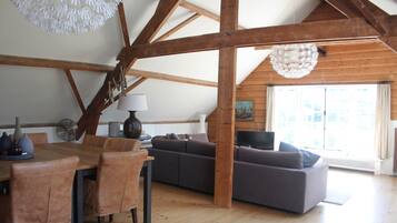 Een televisie, een open haard, een dvd-speler en boeken