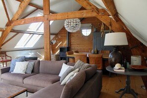 Televisión, chimenea, reproductor de DVD y libros 
