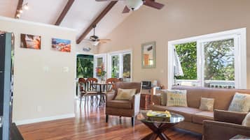 TV, DVD player, videoteca, aparelho de som