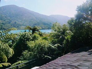 Property grounds - Endeavour Inlet Paradise- Expansive sea views in sunny, private setting (Endeavour Inlet)