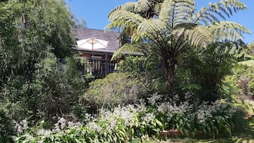 Escape to a serene garden oasis with lush vegetation and a tranquil atmosphere.