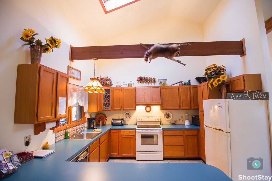 Rustic Country Home Log Sided On Wooded 5 Acres