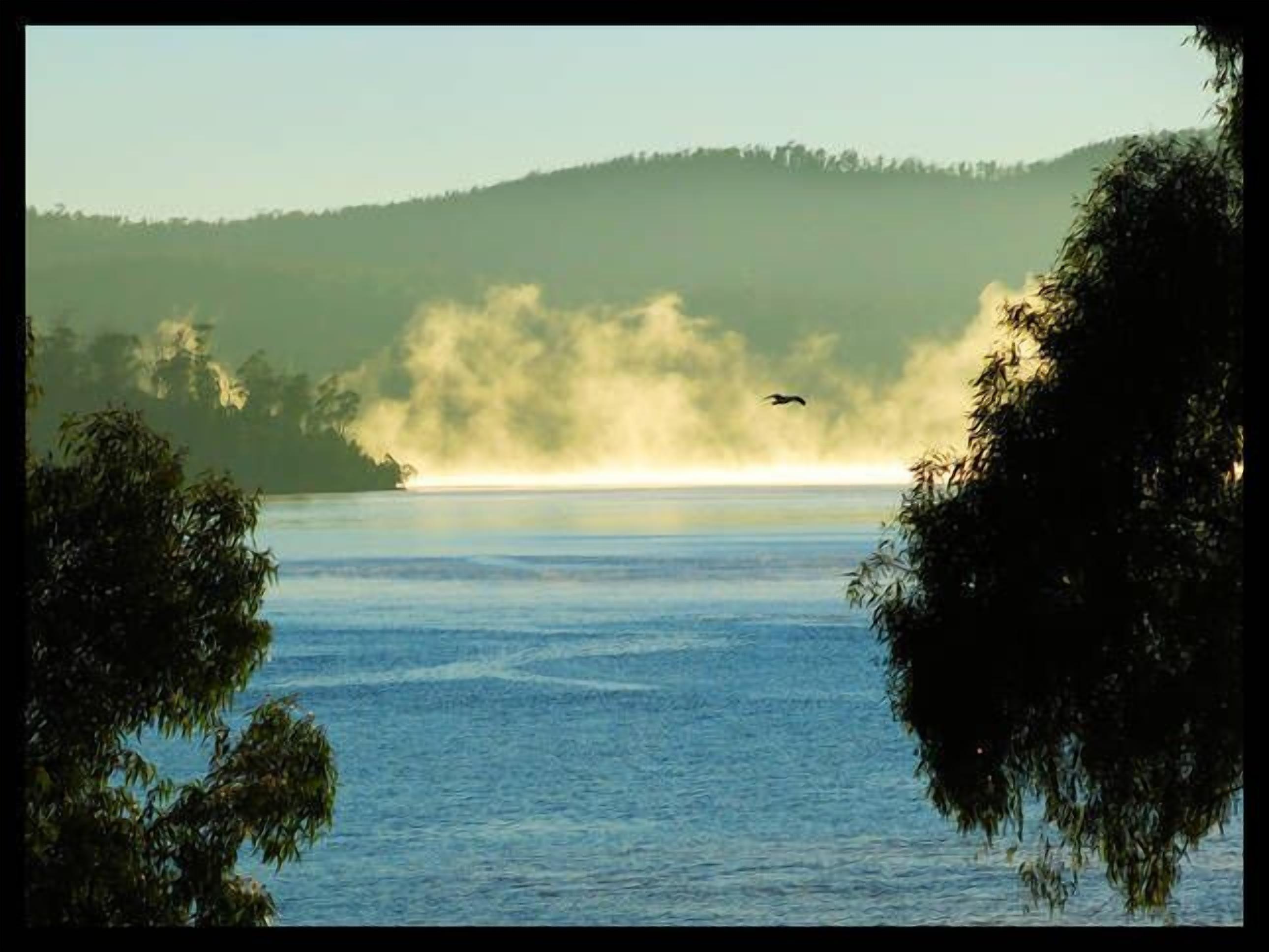 Tamar Boat House - Boutique Waterfront Property — image 8
