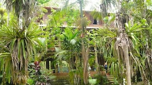 A lush garden with a variety of tropical plants and a building with a red roof. -  Chacara with incredible house on the edge of the river in Antonina, PR -   (Antonina)