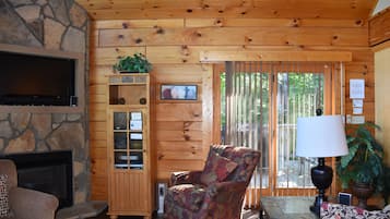 TV, fireplace, DVD player, books