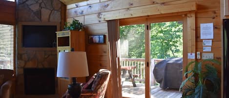 Télévision, cheminée, lecteur de DVD, livres