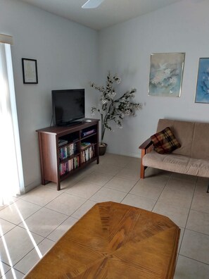 Smart-TV, DVD-Player, Bücher, Stereoanlage