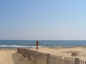 On the beach, sun-loungers