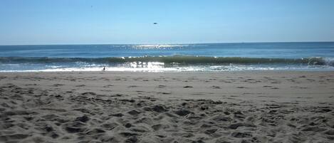 On the beach, sun-loungers