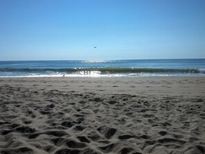 On the beach, sun loungers - Oceanfront Condo - Great midtown location (Ocean City)
