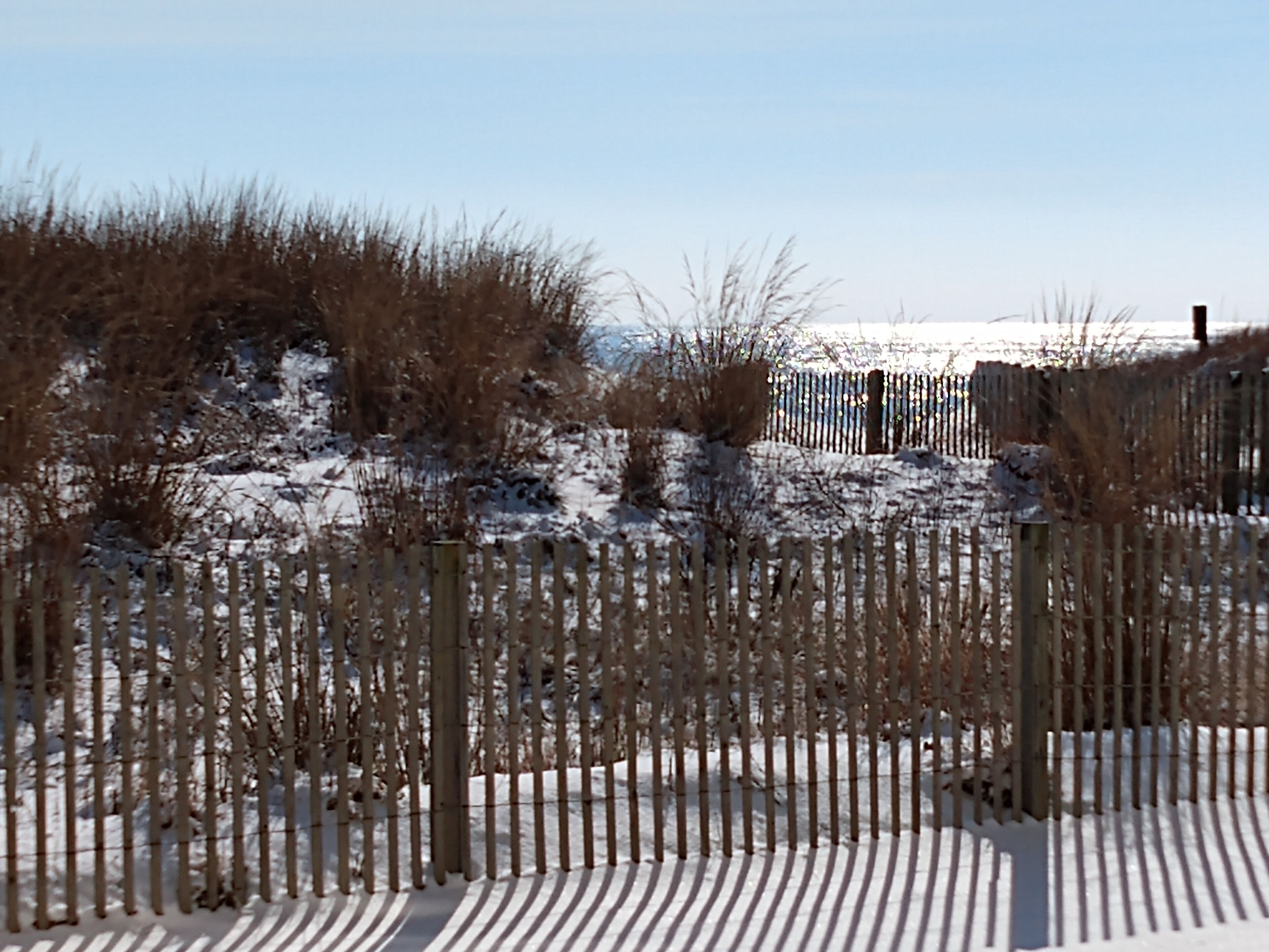 A snow-covered landscape with a wooden fence and sparse vegetation.