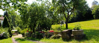 Riverfern apartment at Kamenný potok