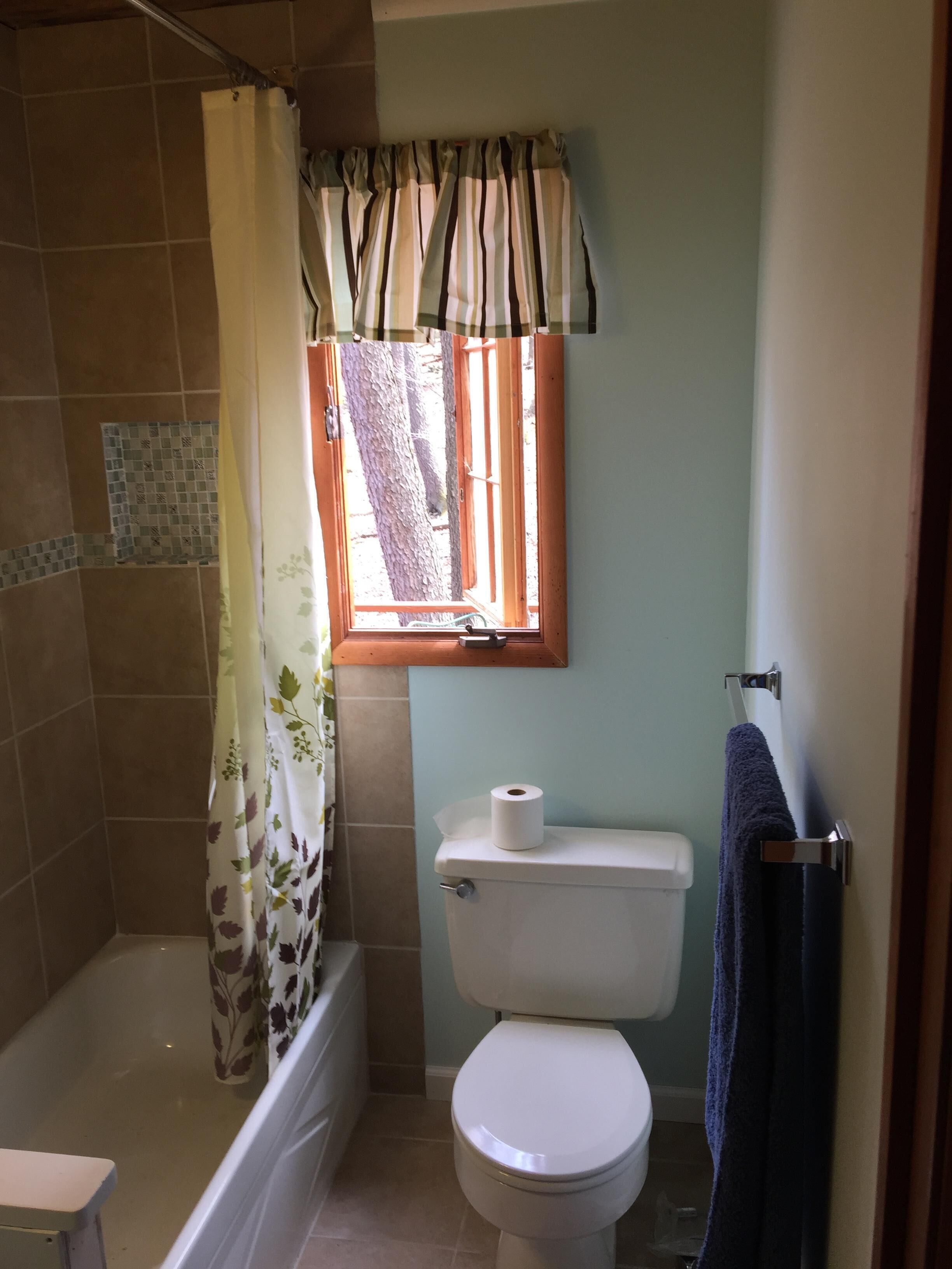 Lakeside barn wood cottage just remodeled with all the modern Conveniences!