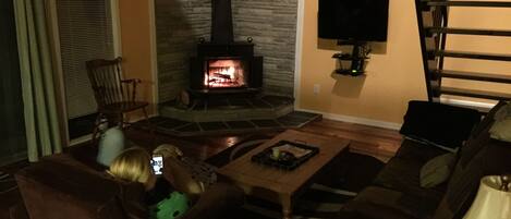 Televisor, llar de foc, reproductor de DVD i videoteca